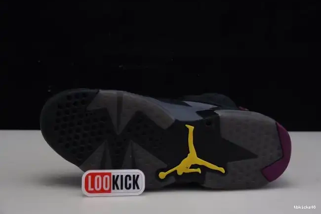 Reps TBkick Jordan 6 